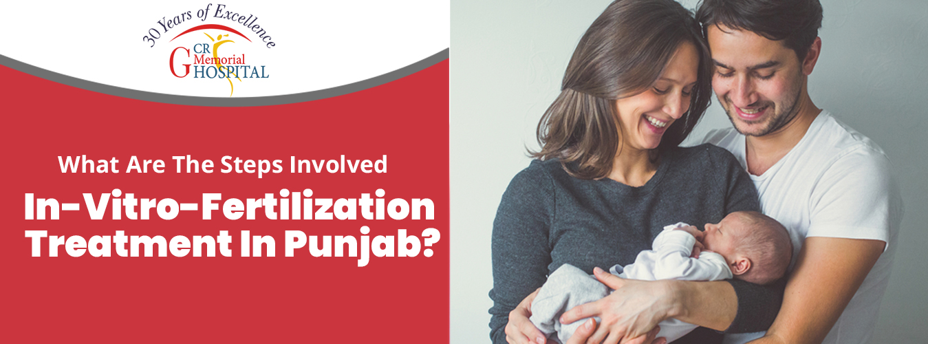 What are the steps involved in-vitro-fertilization treatment in Punjab